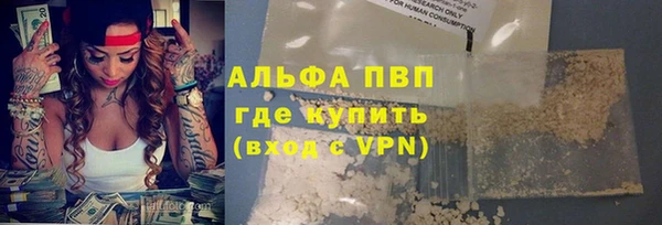 крисы Абаза