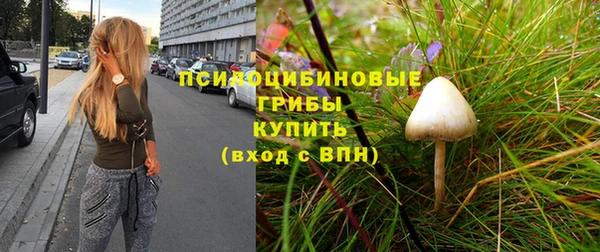 крисы Абаза
