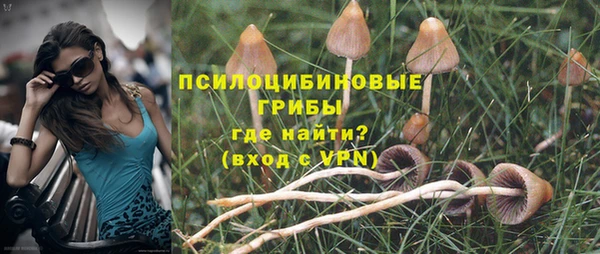 крисы Абаза