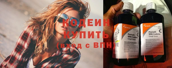 крисы Абаза