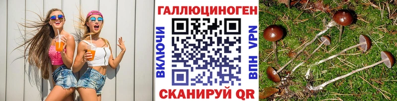 Псилоцибиновые грибы Magic Shrooms  магазин    shop какой сайт  Курчатов 
