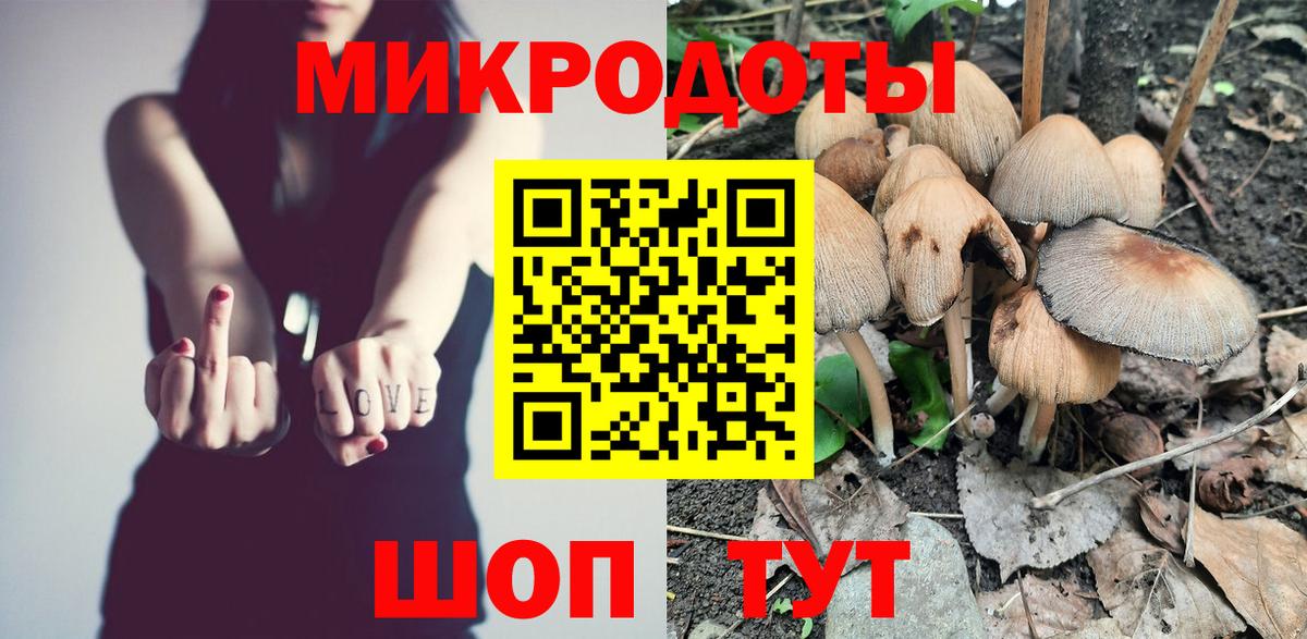 Курчатов  Псилоцибиновые грибы Cubensis  Вход с VPN 
