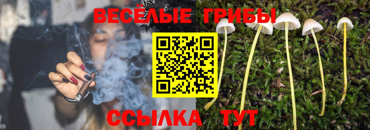Галлюциногенные грибы ЛСД Курчатов
