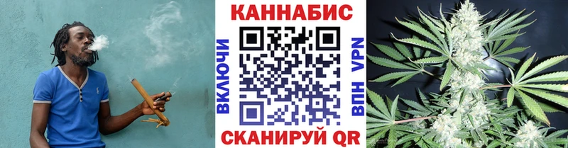 Марихуана сатива  Курчатов 